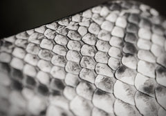 Handmade Leather Boa Skin Tooled Mens billfold Wallet Cool Slim Wallet Biker Wallet for Men